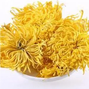 Golden Chrysanthemum